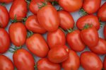 pomodoro-datterino-rosso