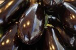 melanzana-nera
