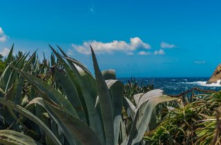 pxb_516918_99068b131647bf97897b6db9adc08f2e pxb_516918_99068b131647bf97897b6db9adc08f2e