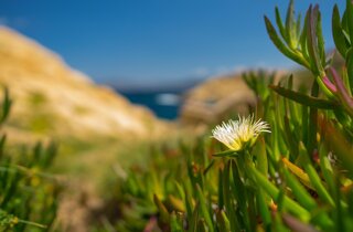 pxb_1475154_c29e3c01bc42ad3b2b640d1f48e72920 pxb_1475154_c29e3c01bc42ad3b2b640d1f48e72920