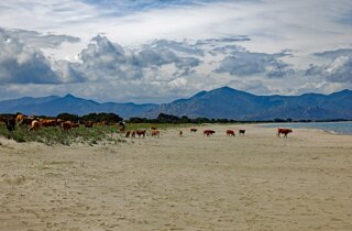 pxb_940560_45172897f37cb2c643efff3bf252da98 pxb_940560_45172897f37cb2c643efff3bf252da98