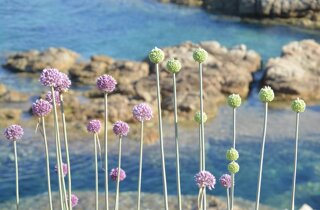 pxb_3392913_01f464244ec77c0d83c3721d324fdf89 pxb_3392913_01f464244ec77c0d83c3721d324fdf89