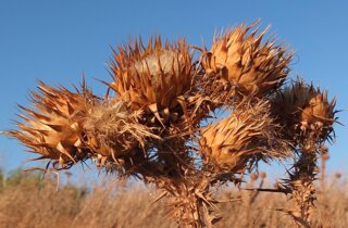 pxb_3418515_da9db1e3f80f50a8225b64bf6d6f2c3e pxb_3418515_da9db1e3f80f50a8225b64bf6d6f2c3e