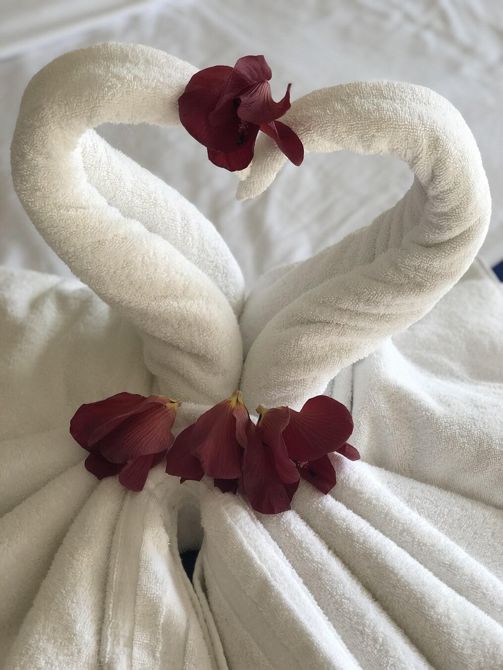 pxb_4321267_727f117b9a32baa0bd8ae6833465eef3