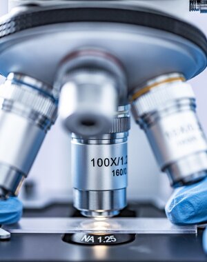 31317_3e8873cb0d385656485fbd02f26481e300e8bab8