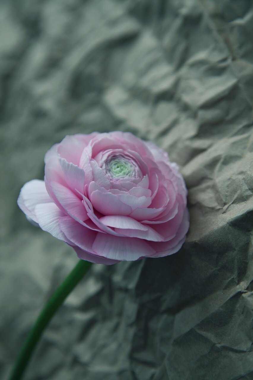 Lutto signora Carla Botta