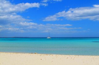 pxb_3845794_883ebbea8e4c913f94d5254840d7cc5b pxb_3845794_883ebbea8e4c913f94d5254840d7cc5b