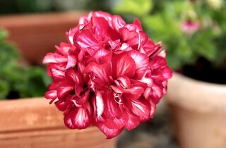 pxb_928008_08efdeb5c80efbb6867eabcba9b19183 pxb_928008_08efdeb5c80efbb6867eabcba9b19183