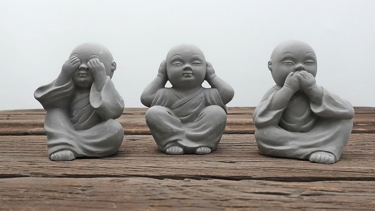 Cosa significa muoversi bene: Sentire, Controllare, Scegliere