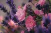 pxb_5326246_79fd793635823571cdc2c302b415b20c pxb_5326246_79fd793635823571cdc2c302b415b20c