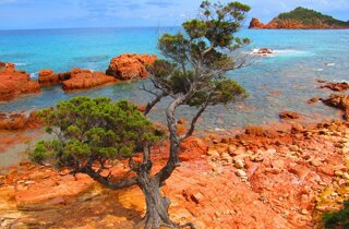 pxb_8040203_b980813716ed2e9a3a6c54535b28d01f pxb_8040203_b980813716ed2e9a3a6c54535b28d01f