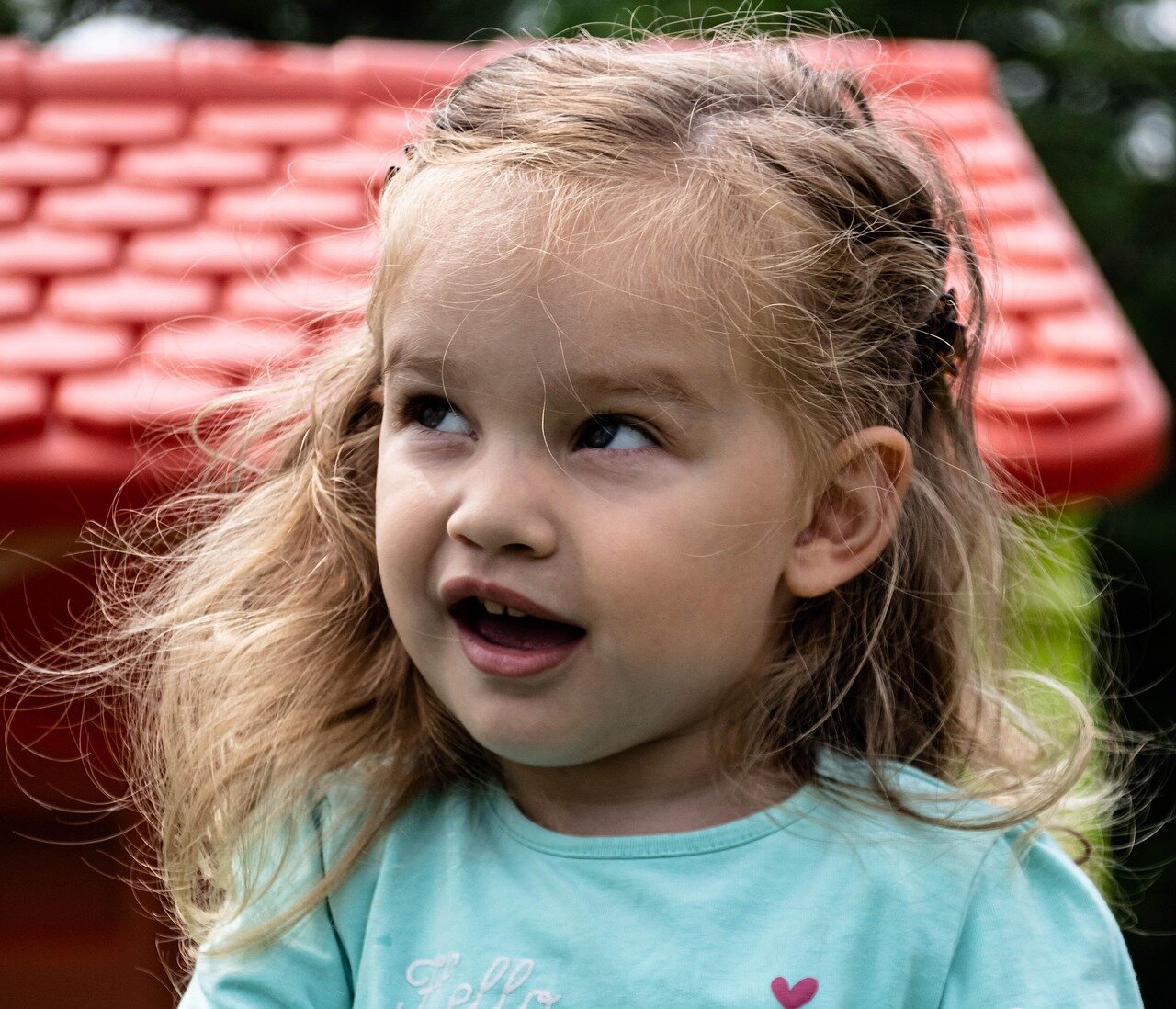 I criteri di valutazione dell'affidamento prole nell'ordinamento giuridico italiano I criteri di valutazione dell'affidamento prole nell'ordinamento giuridico italiano