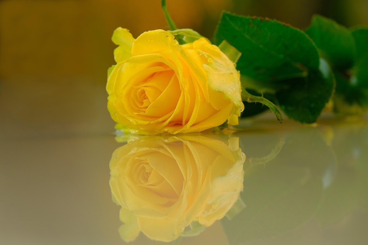 Lutto signor Mauro Bagnati