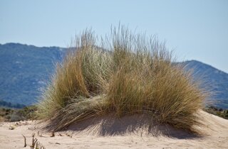 pxb_205590_c45d9c04392f581ee5c0030f8ee945e0 pxb_205590_c45d9c04392f581ee5c0030f8ee945e0