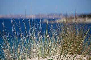 pxb_756_2823f4797102ce1a1aec05359cc16dd9 pxb_756_2823f4797102ce1a1aec05359cc16dd9