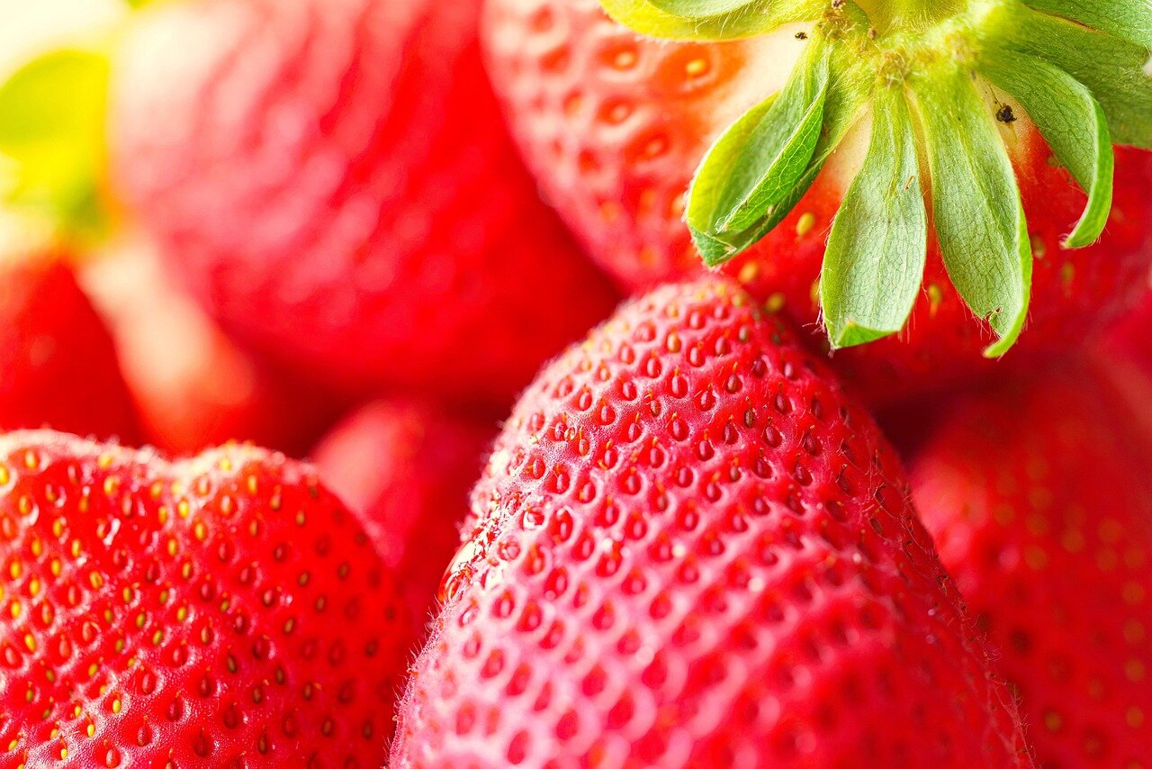 Nutrirsi con consapevolezza - conferenza a Carpineti