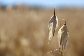 pxb_7374524_7dd6a6d9c5aed8eb1583fe3a9a9c9b9d