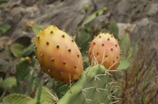 pxb_3236130_0c9ef10336661f7d0d4bd660afeec148 pxb_3236130_0c9ef10336661f7d0d4bd660afeec148