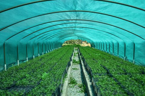 pxb_7710773_2d876338e67ad3fa9558b3399498c172 pxb_7710773_2d876338e67ad3fa9558b3399498c172