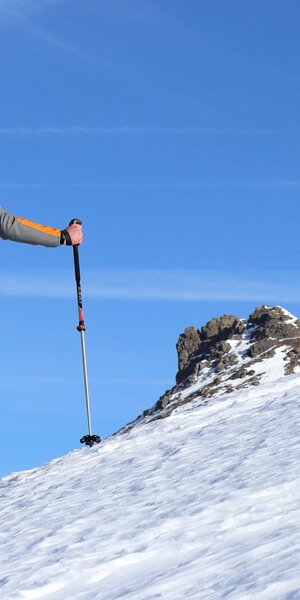 pxb_498473_cfa8d577debdeee36a1a104900398560