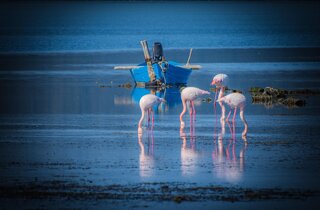 pxb_3188704_401211de980085dbf3b9c2a0df2dae36 pxb_3188704_401211de980085dbf3b9c2a0df2dae36