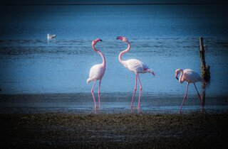 pxb_5134257_fcda3bd680ecf62c849b98a77fa5df7b pxb_5134257_fcda3bd680ecf62c849b98a77fa5df7b