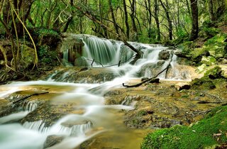 pxb_3188699_ad7228ed931932fb334910d063fba04c pxb_3188699_ad7228ed931932fb334910d063fba04c