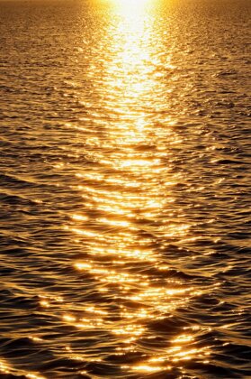 pxb_8424565_eed292d987c9526510bbc031cb849852