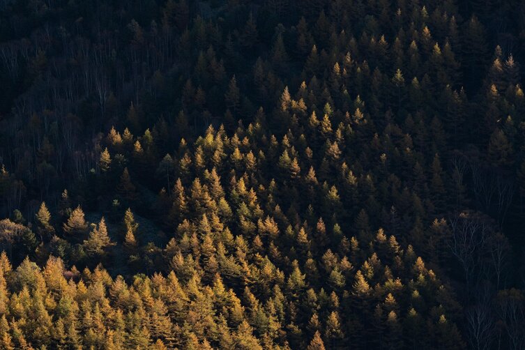 pxb_9205702_a7fcbbbd94c6415af29bda6389a2acc9