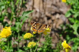 pxb_9405641_248b1e7eb408daa44eac90dc43af51af pxb_9405641_248b1e7eb408daa44eac90dc43af51af