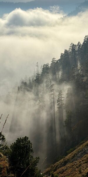 pxb_3632870_d14bfcdff999f7a81d3d7ca2e0bbe5ae