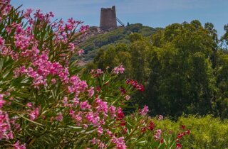 pxb_599239_0d649c132a6abb0b702aa9b24b905e6b pxb_599239_0d649c132a6abb0b702aa9b24b905e6b