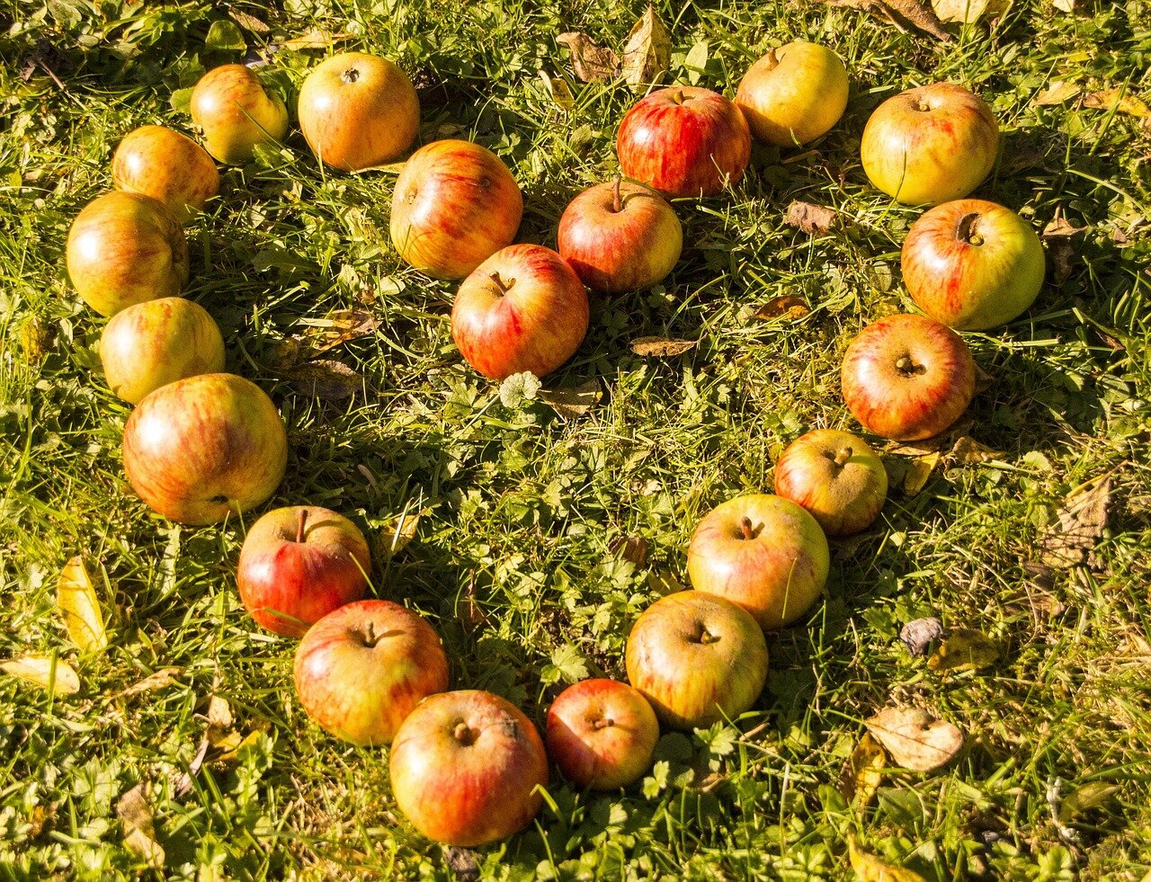 Perch&egrave; ho scelto il mindful-eating e l'approccio non prescrittivo?